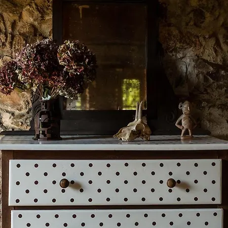 Quintana La Vega Casona Asturiana Oviedo