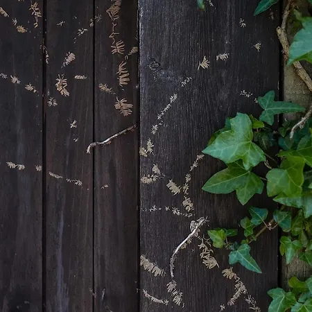 Quintana La Vega Casona Asturiana Casa vacanze