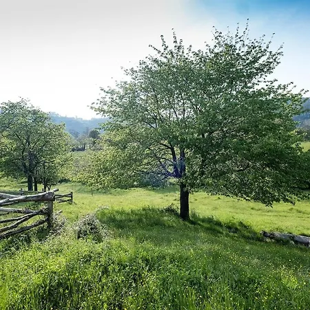 Casa vacanze Quintana La Vega Casona Asturiana *