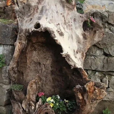 Nyaraló Quintana La Vega Casona Asturiana Oviedo