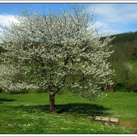 Quintana La Vega Casona Asturiana Casa vacanze Oviedo