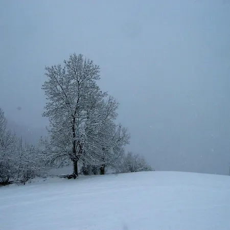 Quintana La Vega Casona Asturiana Casa vacanze Oviedo