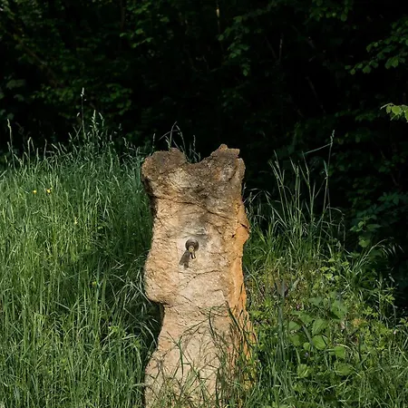 Quintana La Vega Casona Asturiana Casa vacanze *
